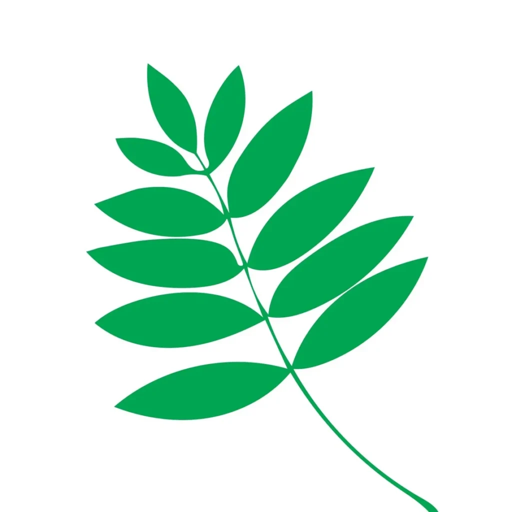 green-leaf-clipart