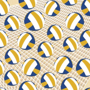 Volleyball Pattern Seamless Sports Design